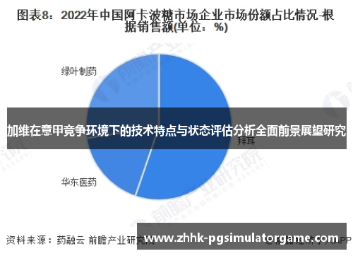 加维在意甲竞争环境下的技术特点与状态评估分析全面前景展望研究 加维在意甲竞争环境下的技术特点与状态评估分析全面前景展望研究
